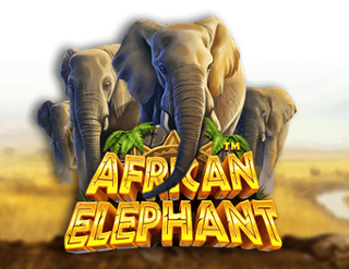 Slot African Elephant